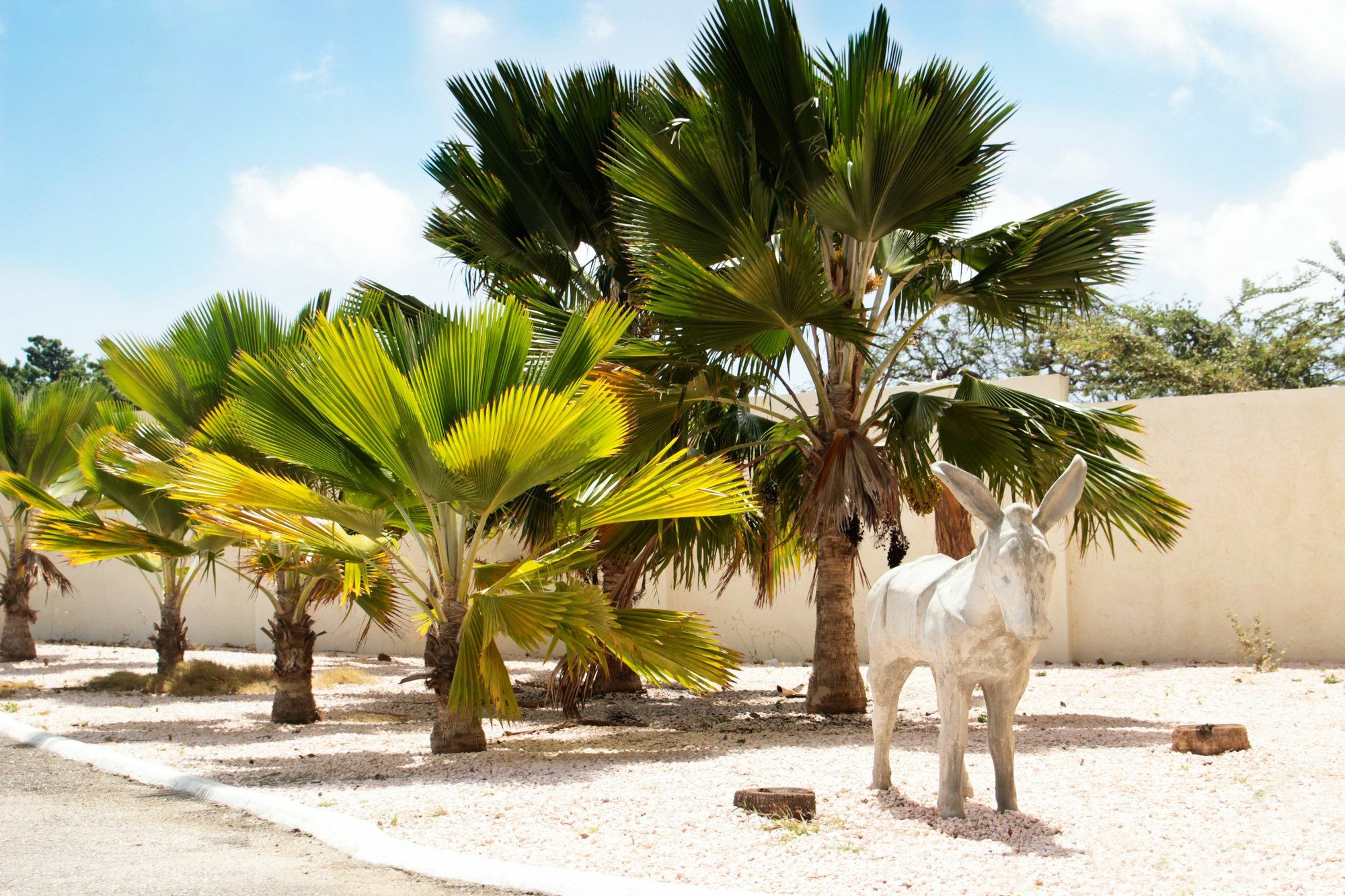 ABC Lodges Curacao Willemstad Exterior foto